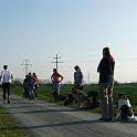Ob Jogger, Radfahrer, Pferde oder andere Vierbeiner... die Hunde haben schon viel gelernt und warten geduldig neben ihren Menschen.